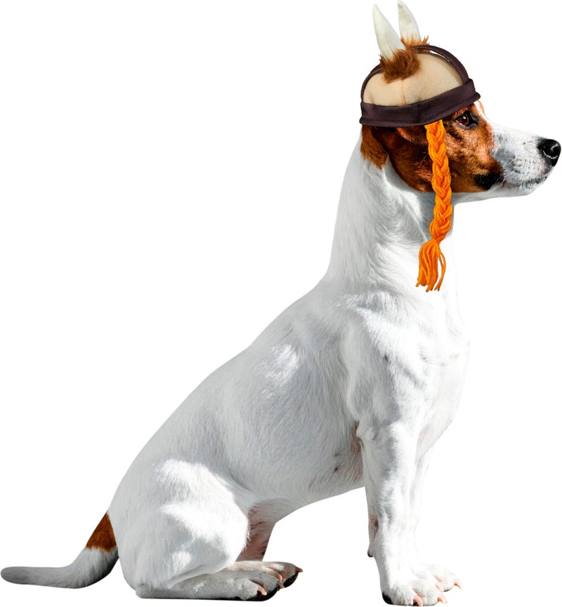 Rubies Viking Pet Hat for Dogs or Cats, S/M - Image 4